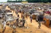 24 agosto - 7 settembre: campo di lavoro di Chiama l'Africa